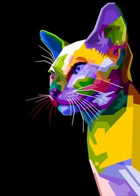 siamese cat on pop art