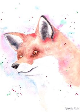 Fox wildlife watercolor ar