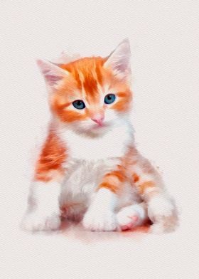 Red White Kitten