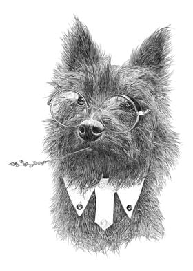 Toto Terrier