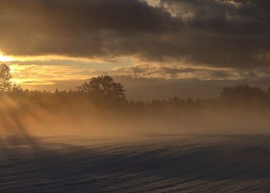 Winter sunrise landscape