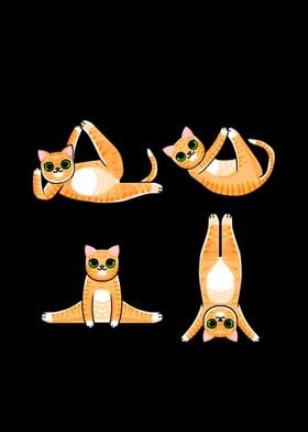 Cat Poses Yoga Meditation