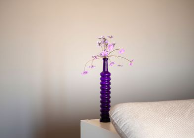 Purple anemones in vase
