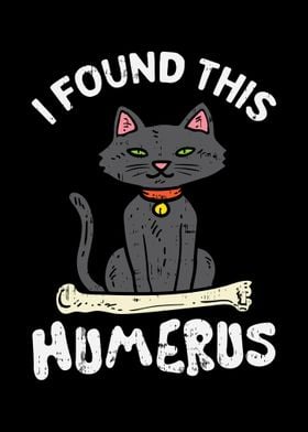 Found This Humerus Cat