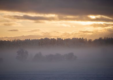 Winter sunrise landscape