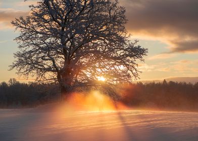 Winter sunrise landscape