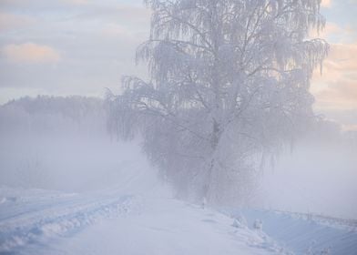 Winter road landscape