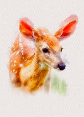 Fawn Watercolor