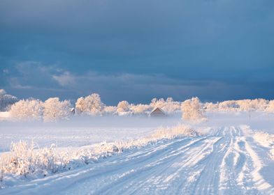 Winter road landscape