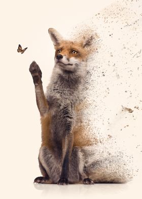 The Dispersion Fox