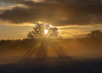 Winter sunrise landscape