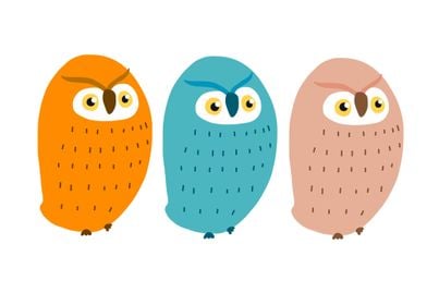 Colorful cute owls cartoon