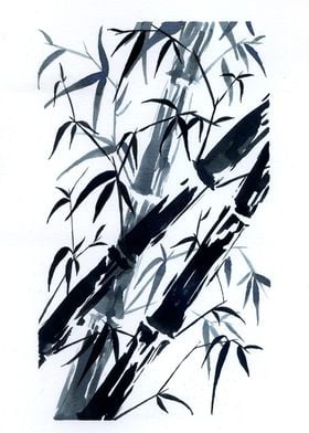 Bamboo