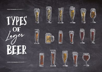 Types of Beer Lager