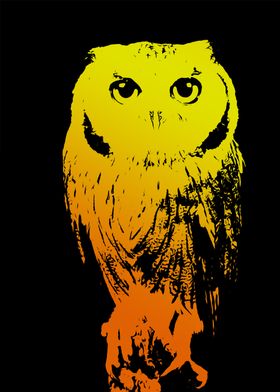 Yellow Owl