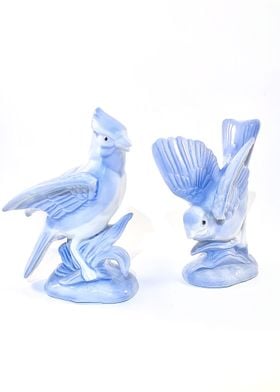 Blue Bird and Blue Jay