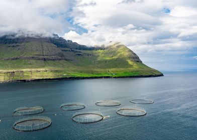 Salmon Farm Faroe Islands