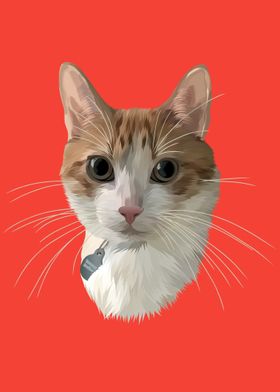 The Cat Vector