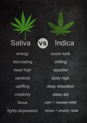 Sativa VS Indica