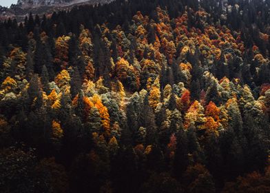 Fall in Switzerland