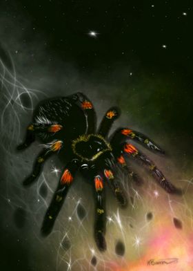 Spirit of the Spider