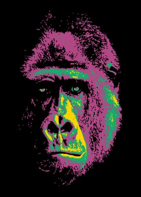 Gorilla V3  Pop Art 