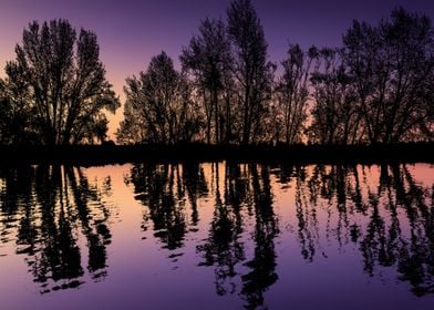 Sunset Silhouette