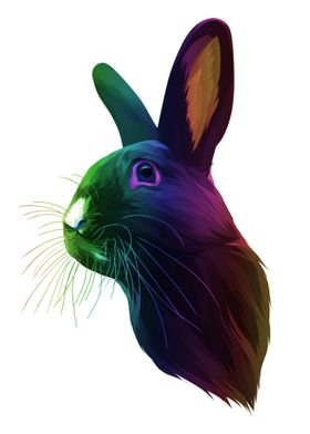 The Rainbow Vector Pet