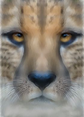 Cheetah