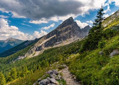 Mountain hike