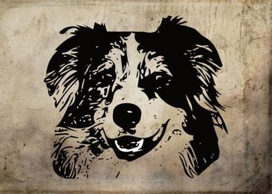 Australian Shepherd Dog