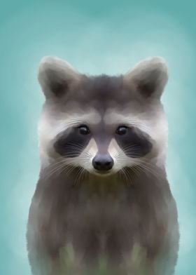 Raccoon