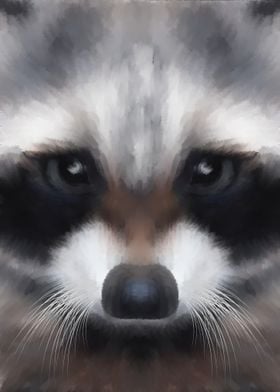 Raccoon