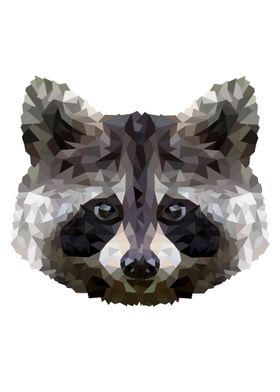 Raccoon