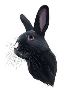 The Rabbit Vector