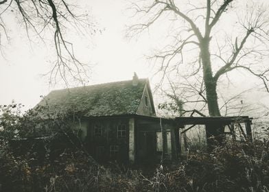 Forgotten house