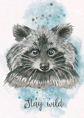 raccoon