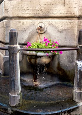 Watering flowers 