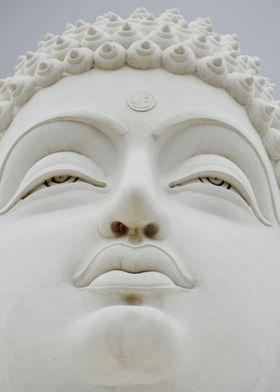 Buddha