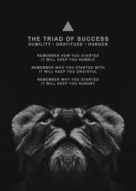 The Triad of Success