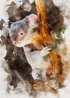 Watercolour Koala