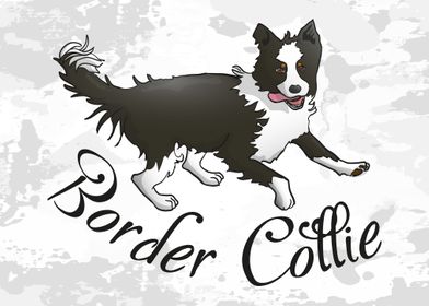 Border Collie illustration