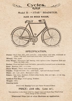 Bicycles Roadster