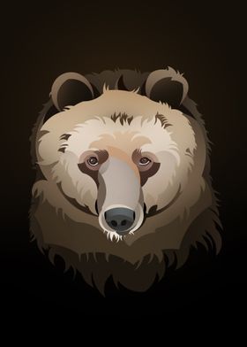 Bear Illustration