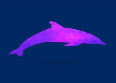 Colorful Dolphin