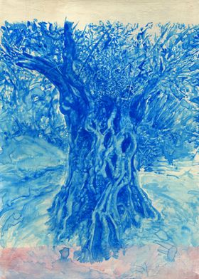 pthalo blue olive tree