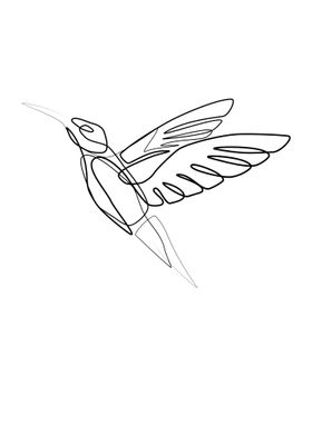 One Line Hummingbird