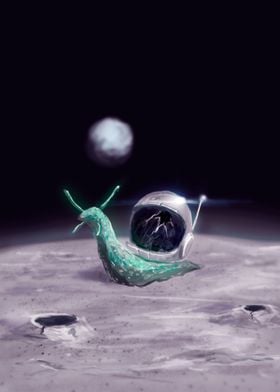 Snail Space