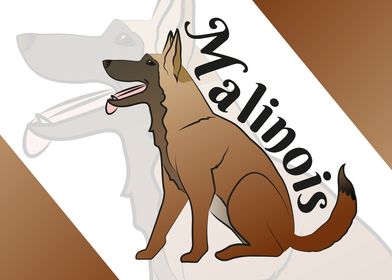 Malinois dog drawing