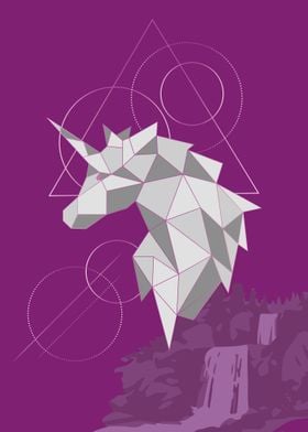 Geometric Unicorn